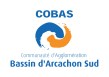 logo cobas